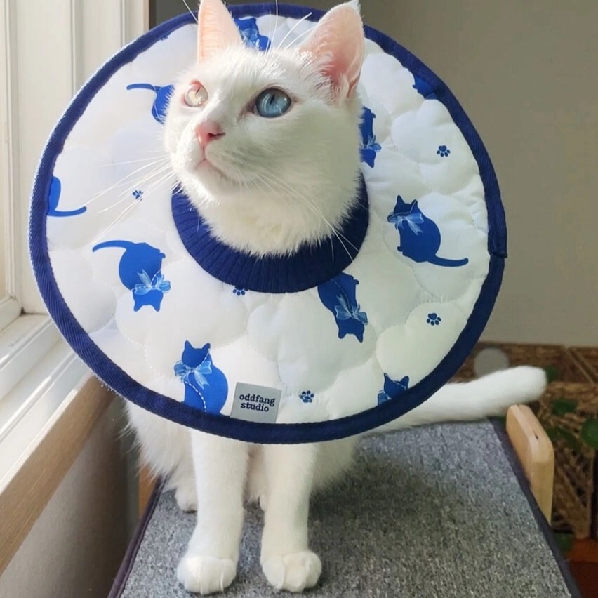 貓貓花式頭套┃共三款