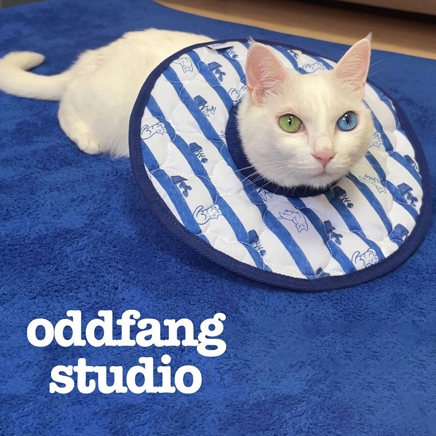 貓貓花式頭套┃共三款