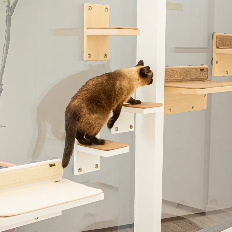 Monello 悠悠｜吸盤式防滑貓踏板 小