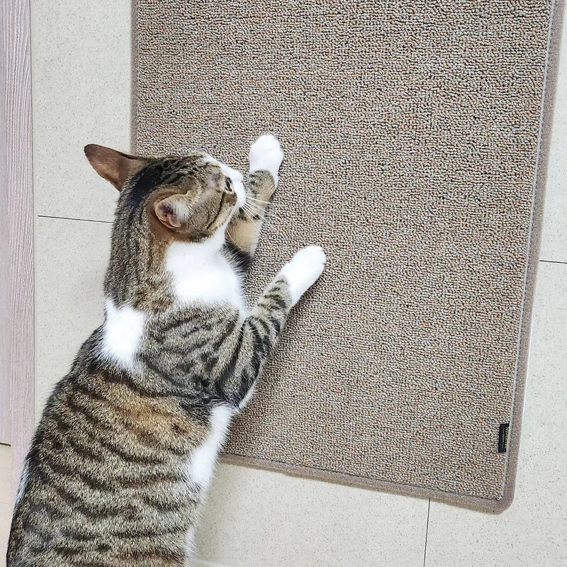 Monello 舒毯｜自由貼超耐磨貓抓墊 二色