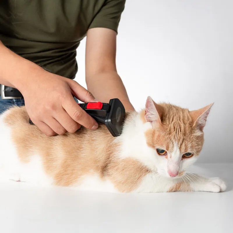 Refuresh 深層清潔寵物梳