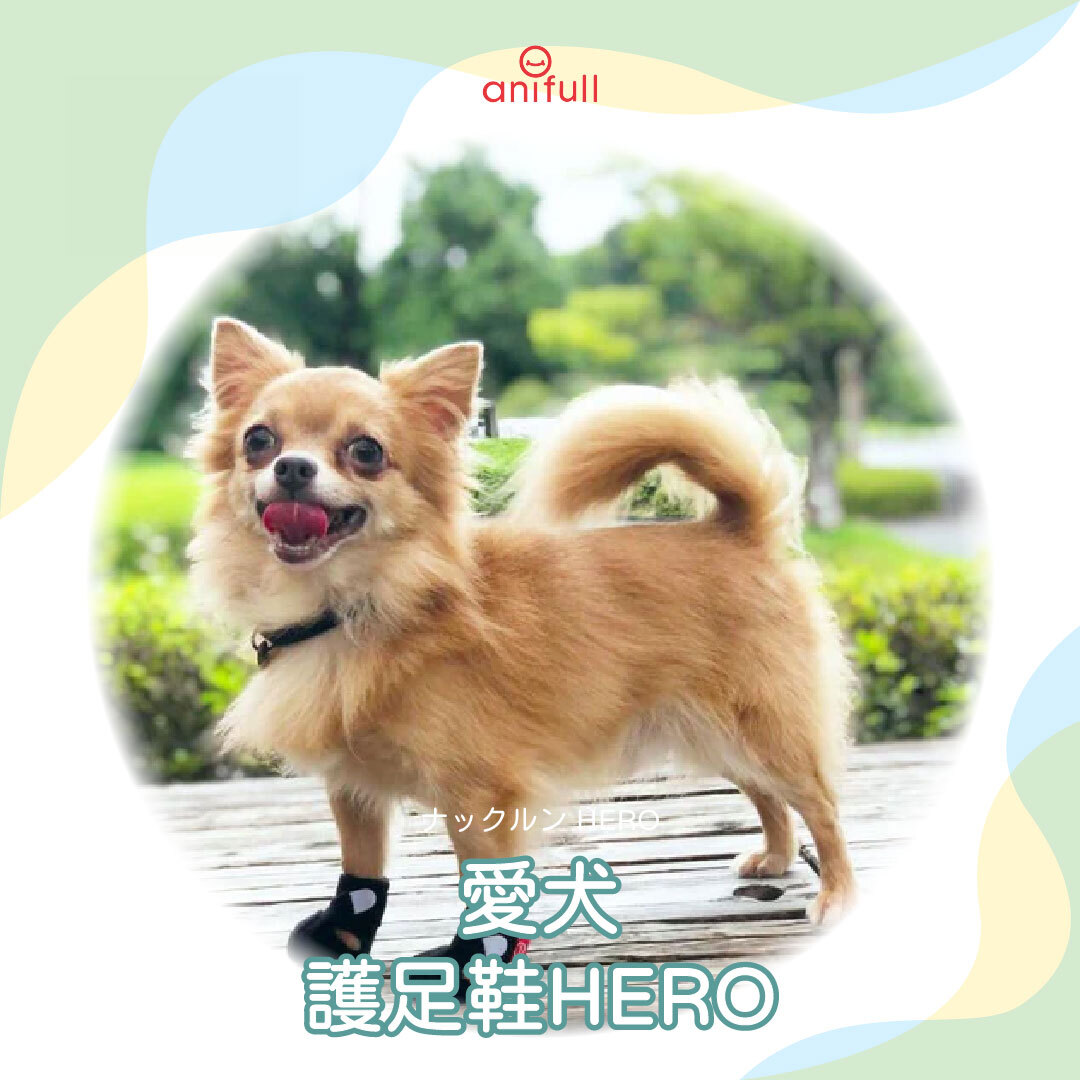 anifull 愛犬護足鞋HERO-包覆型
