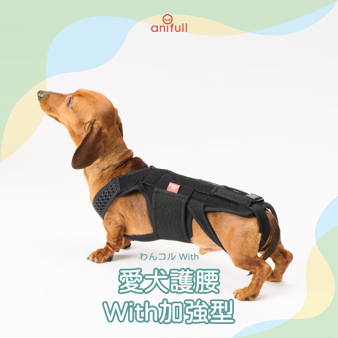 anifull 愛犬護腰with-加强型
