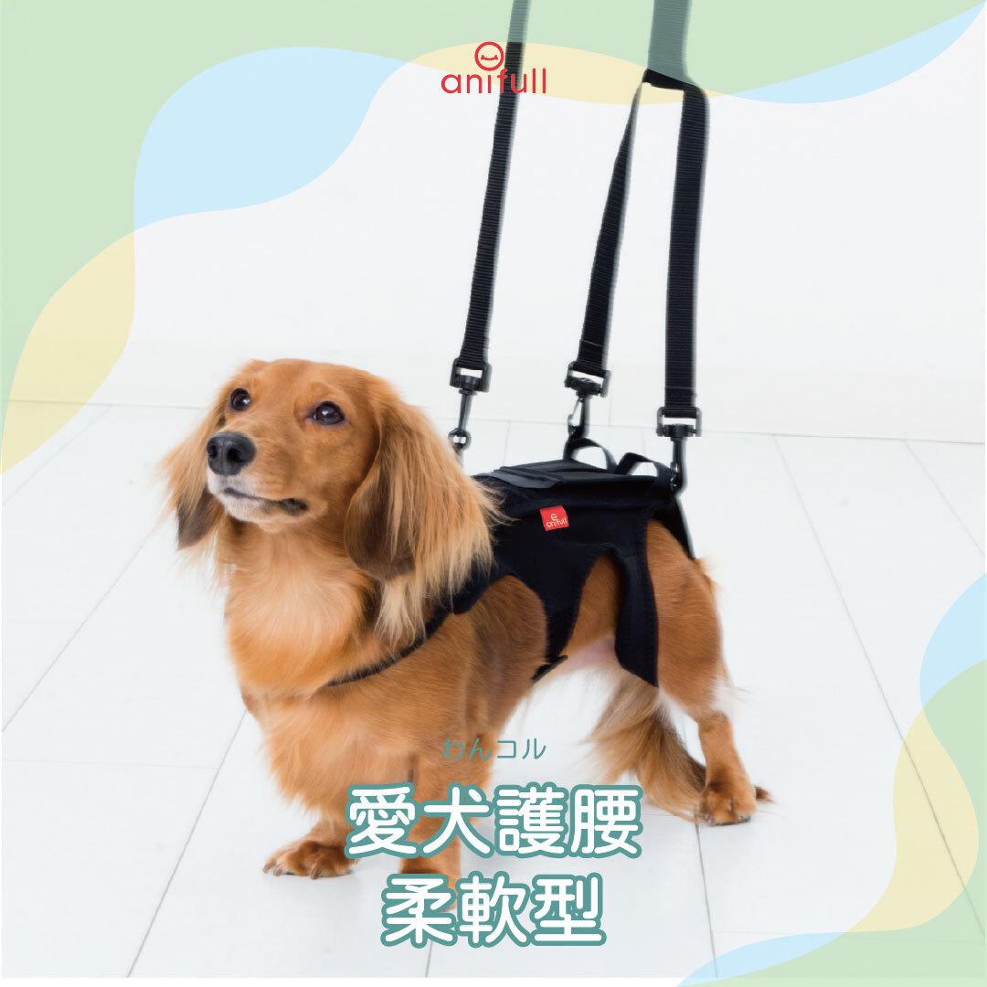 anifull 愛犬護腰-柔軟型
