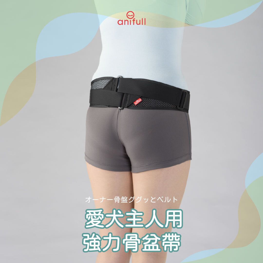 anifull 主人健康骨盆護腰帶