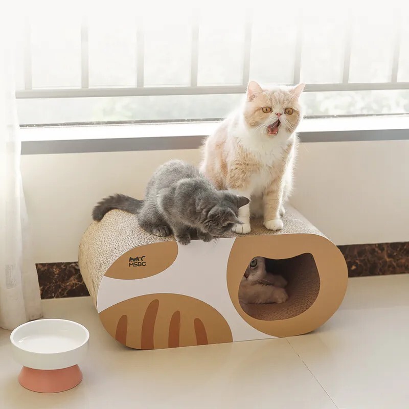 小橘躲貓貓｜造型貓抓小窩