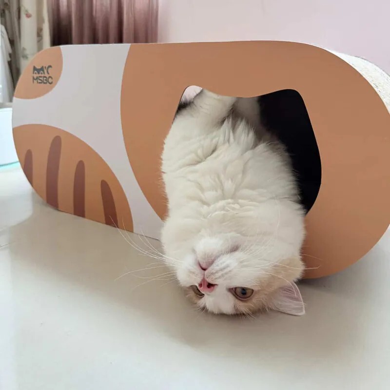 小橘躲貓貓｜造型貓抓小窩