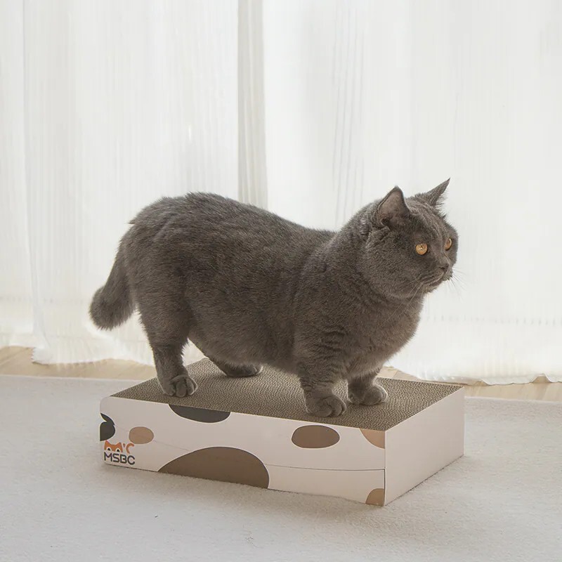 喵喵瑜珈｜可摺疊雙面貓抓板