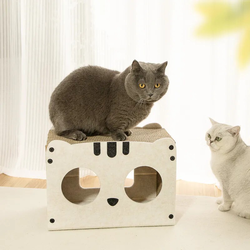 喵星 bot｜造型貓抓小屋