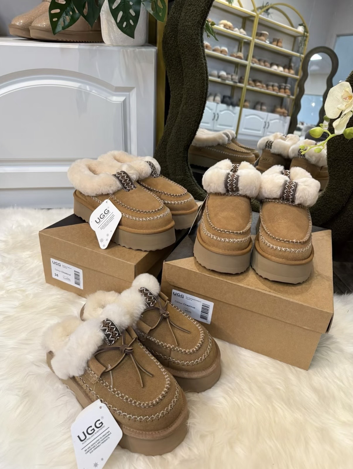 [2025 新款] UGG Letitia 系列 厚底拖鞋 (Australian Sheppard)