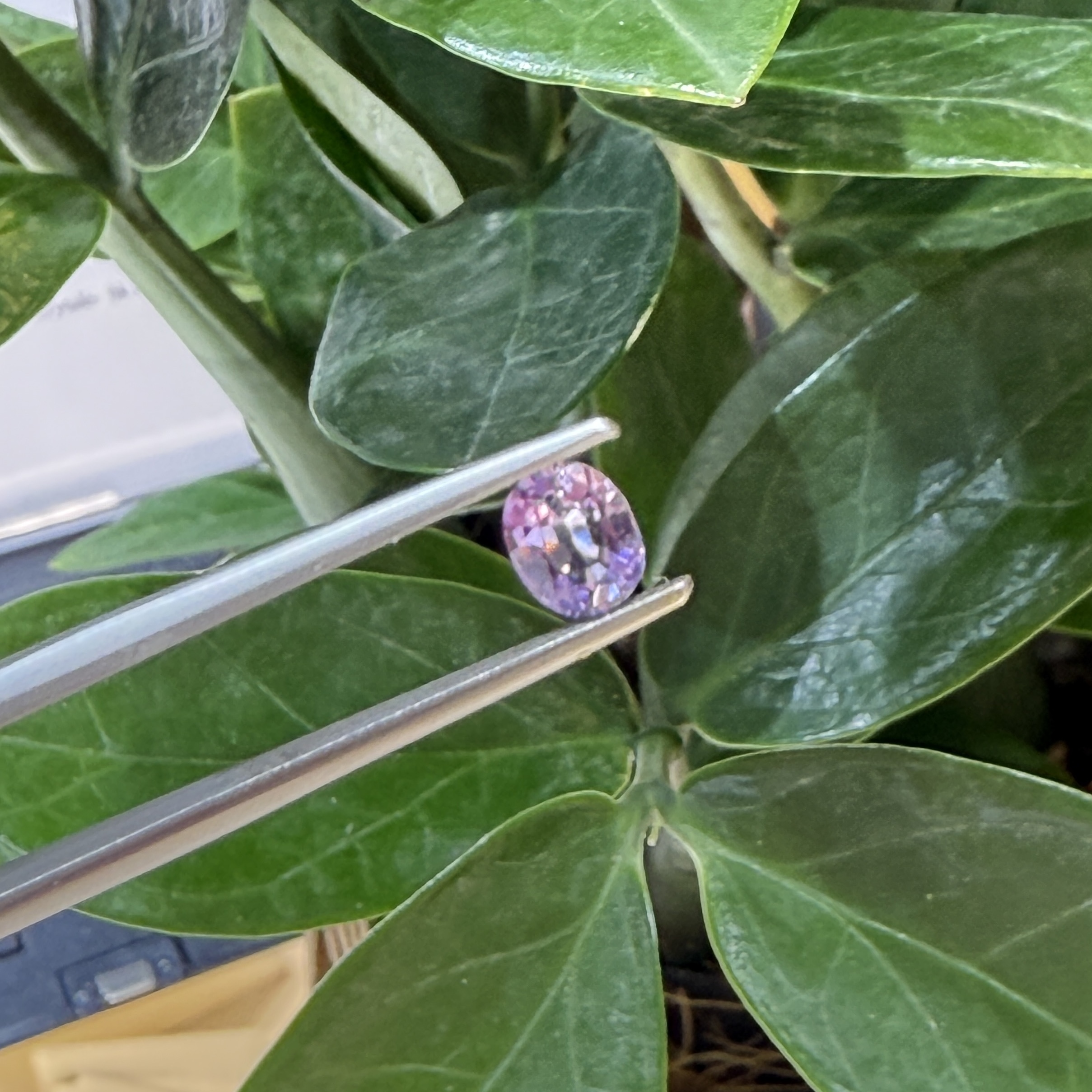 0.68ct 無燒紫色藍寶石 - 裸石