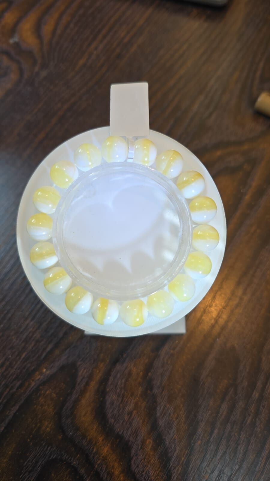 🔮能量水晶🔮金絲硨磲 (H9 CR227)