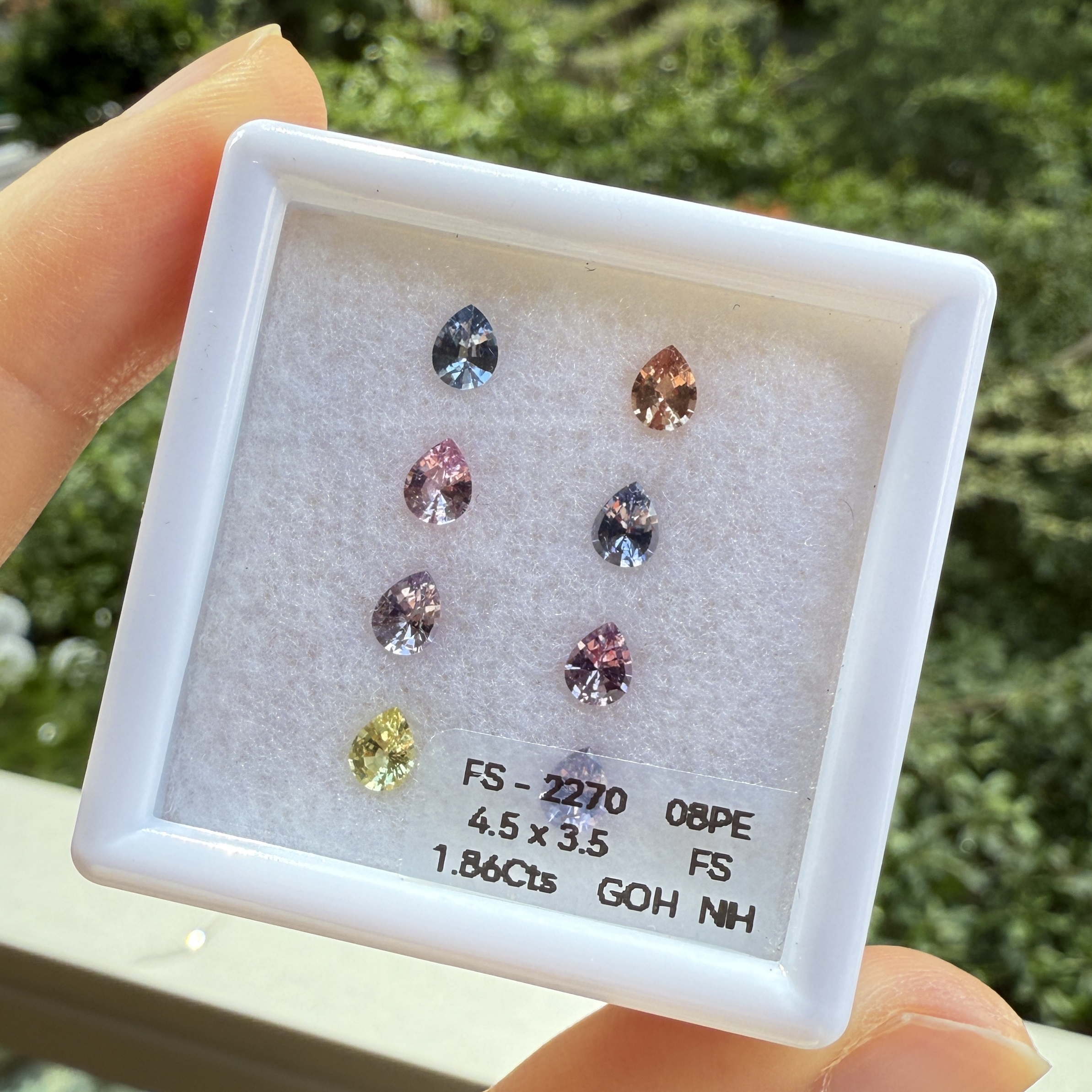 Fancy Cut 無燒藍寶石 - 裸石一盒