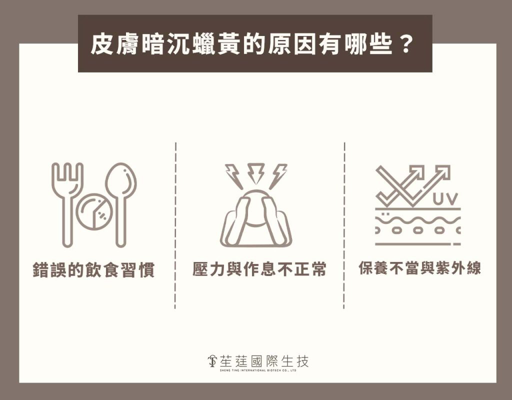 皮膚黃怎麼變白