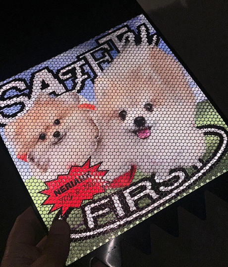 Neriame x Toy125 安全第一 狗狗 機車擋泥板