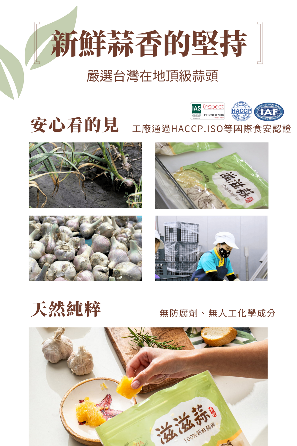 蒜頭磚