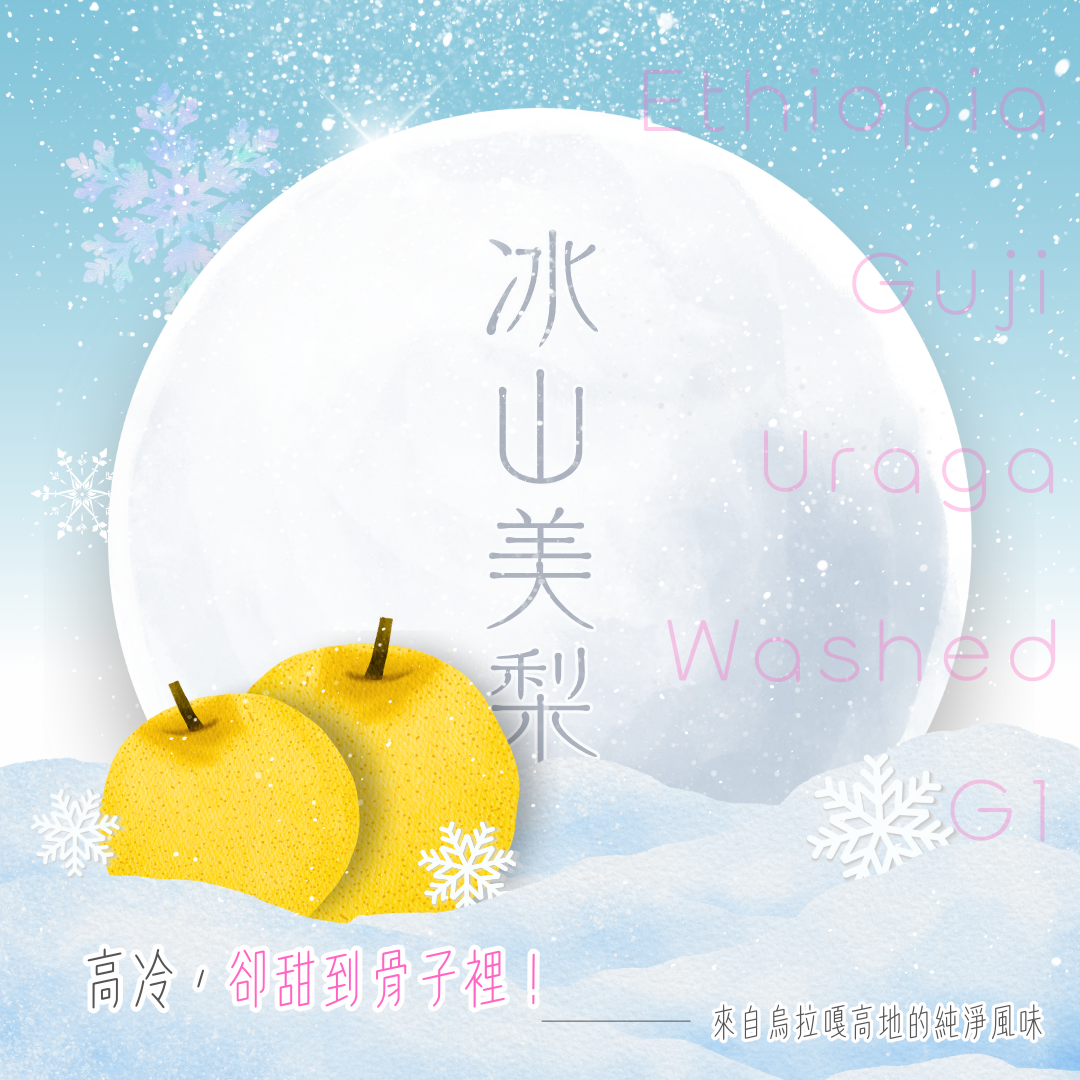 衣索比亞 烏拉嘎 冰山美梨