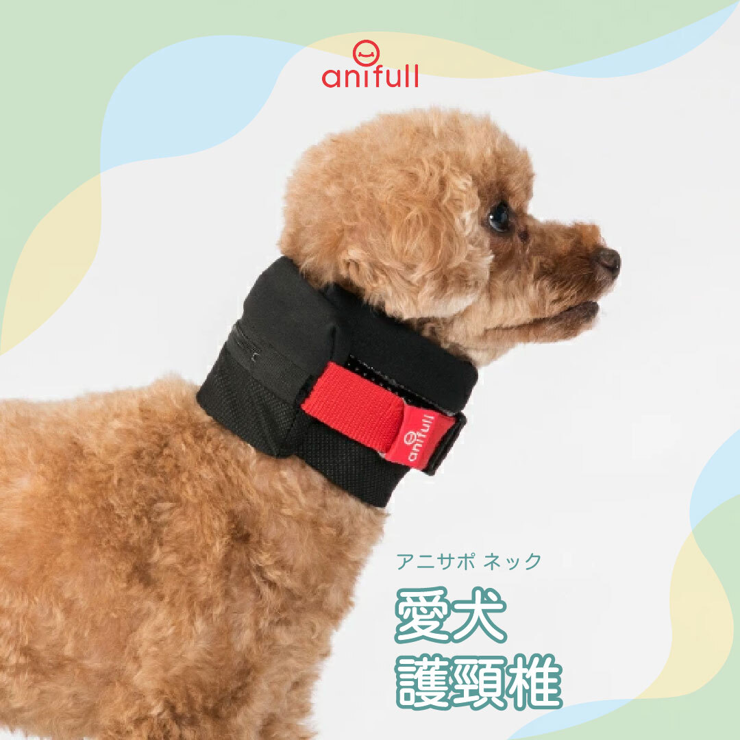 anifull 愛犬護頸椎