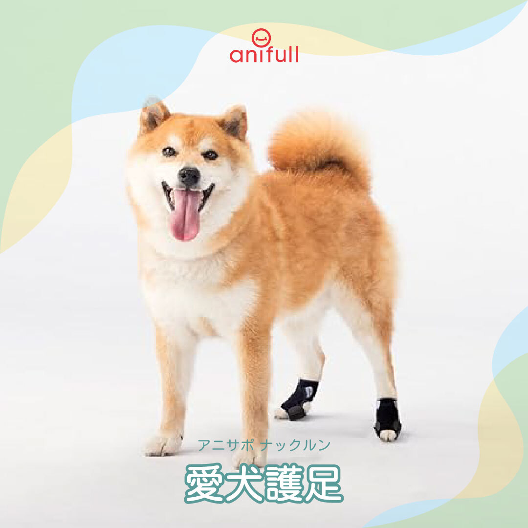anifull 愛犬護足-露趾型