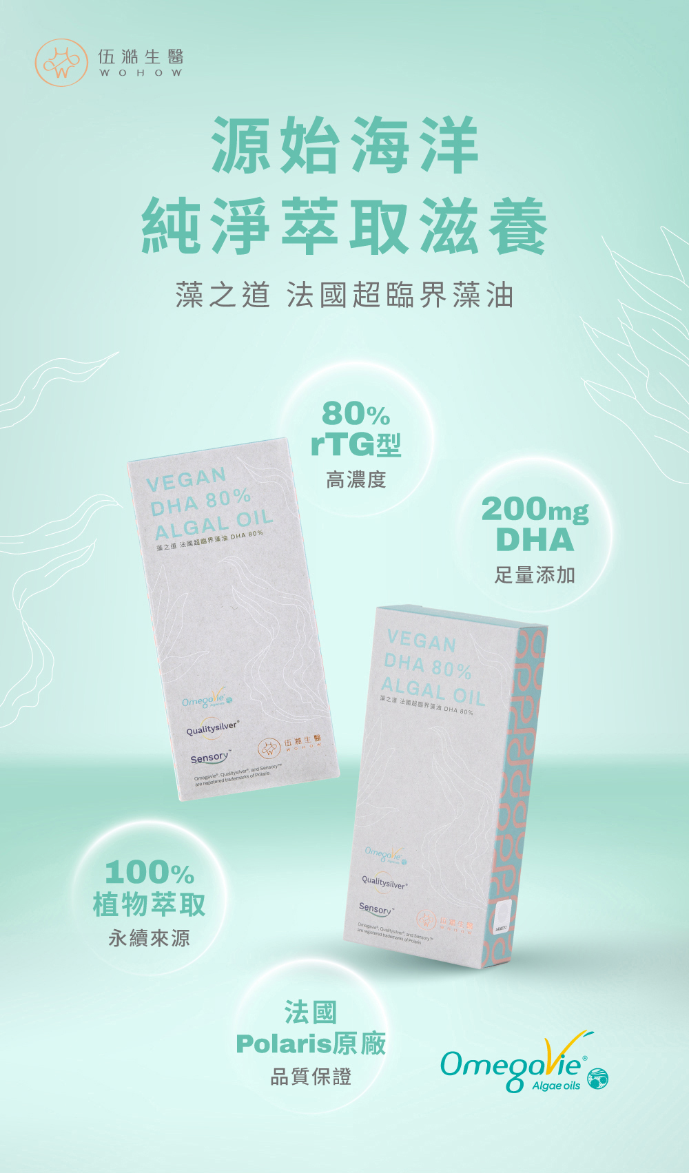藻之道丨法國超臨界藻油 DHA 80%