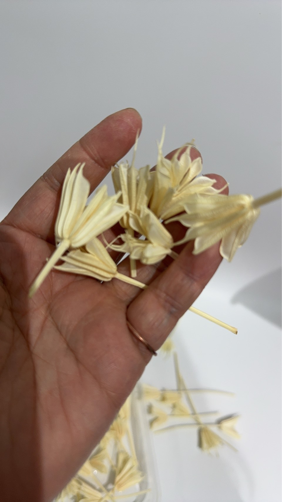 【台灣現貨速發】小百合 八角花 木百合 短枝花材包｜材料包 花頭 幹燥花 乾燥花頭 花材盒