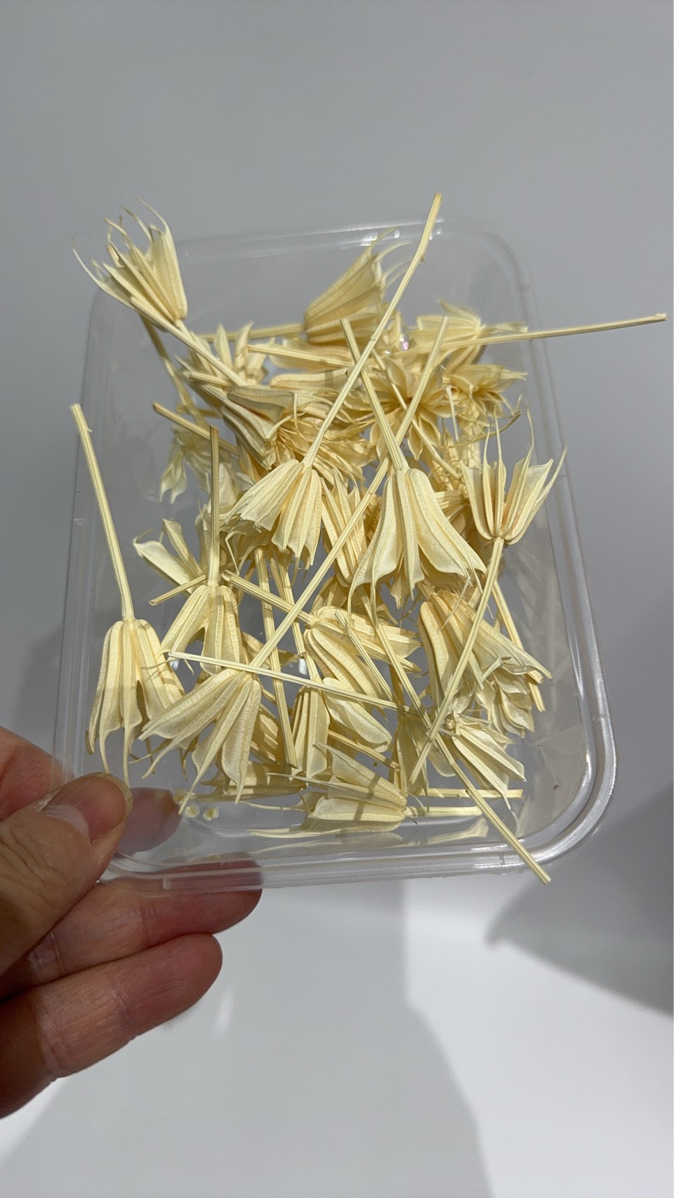 【台灣現貨速發】小百合 八角花 木百合 短枝花材包｜材料包 花頭 幹燥花 乾燥花頭 花材盒