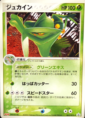 POKEMON JAPANESE PROMO 063/PCG-P