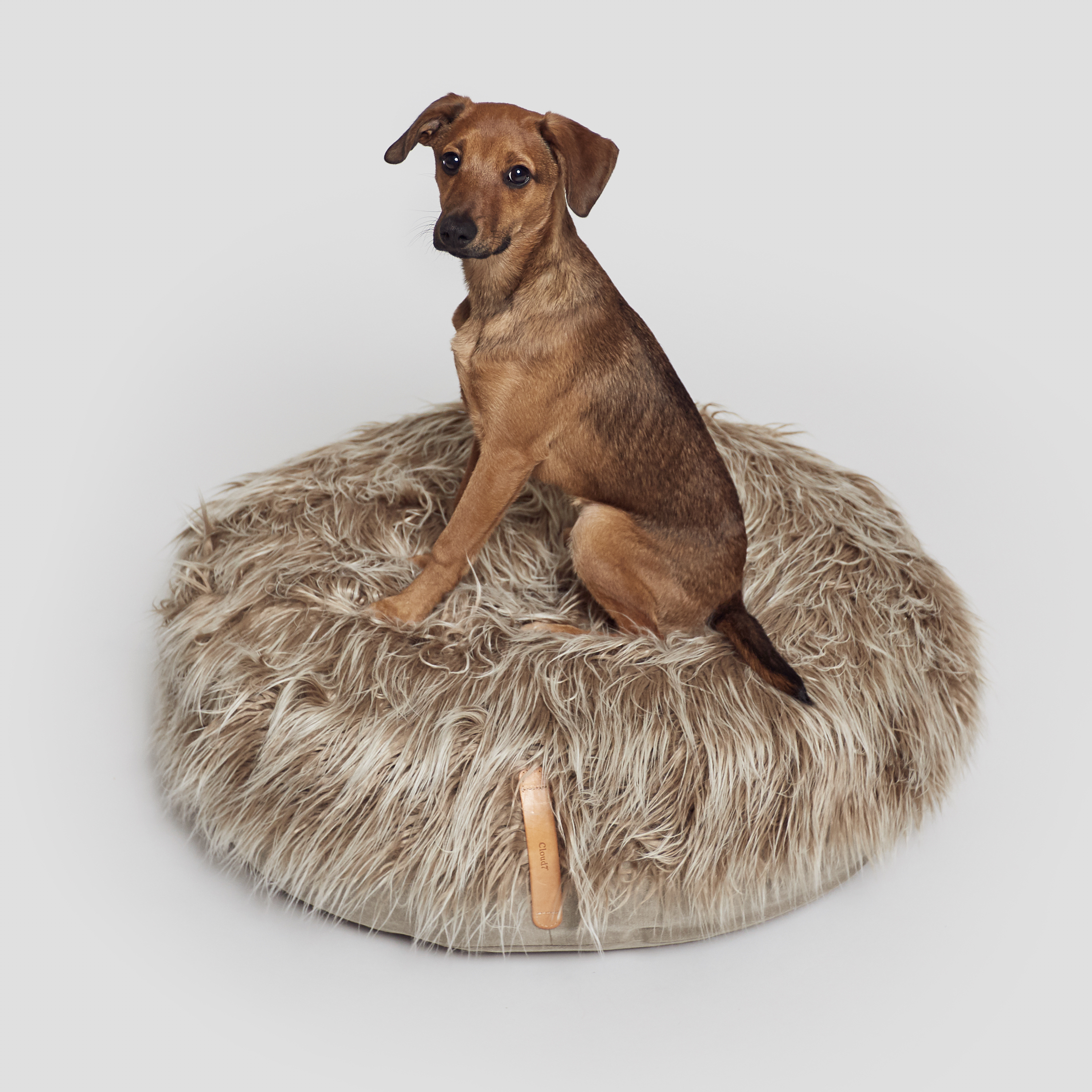 CLOUD7 - 寵物床 Yeti