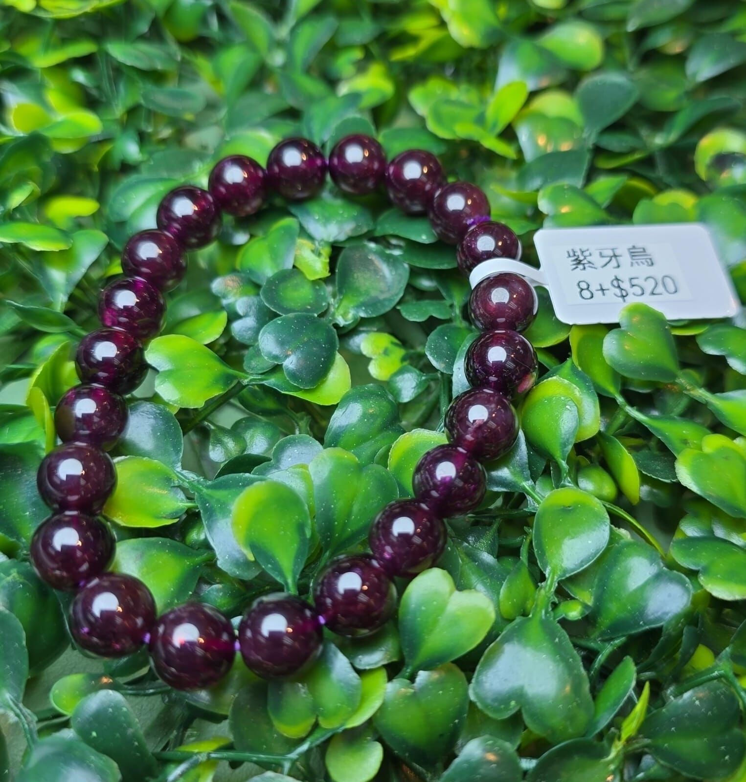 🔮能量水晶🔮紫牙烏手串 (H8 CR263)