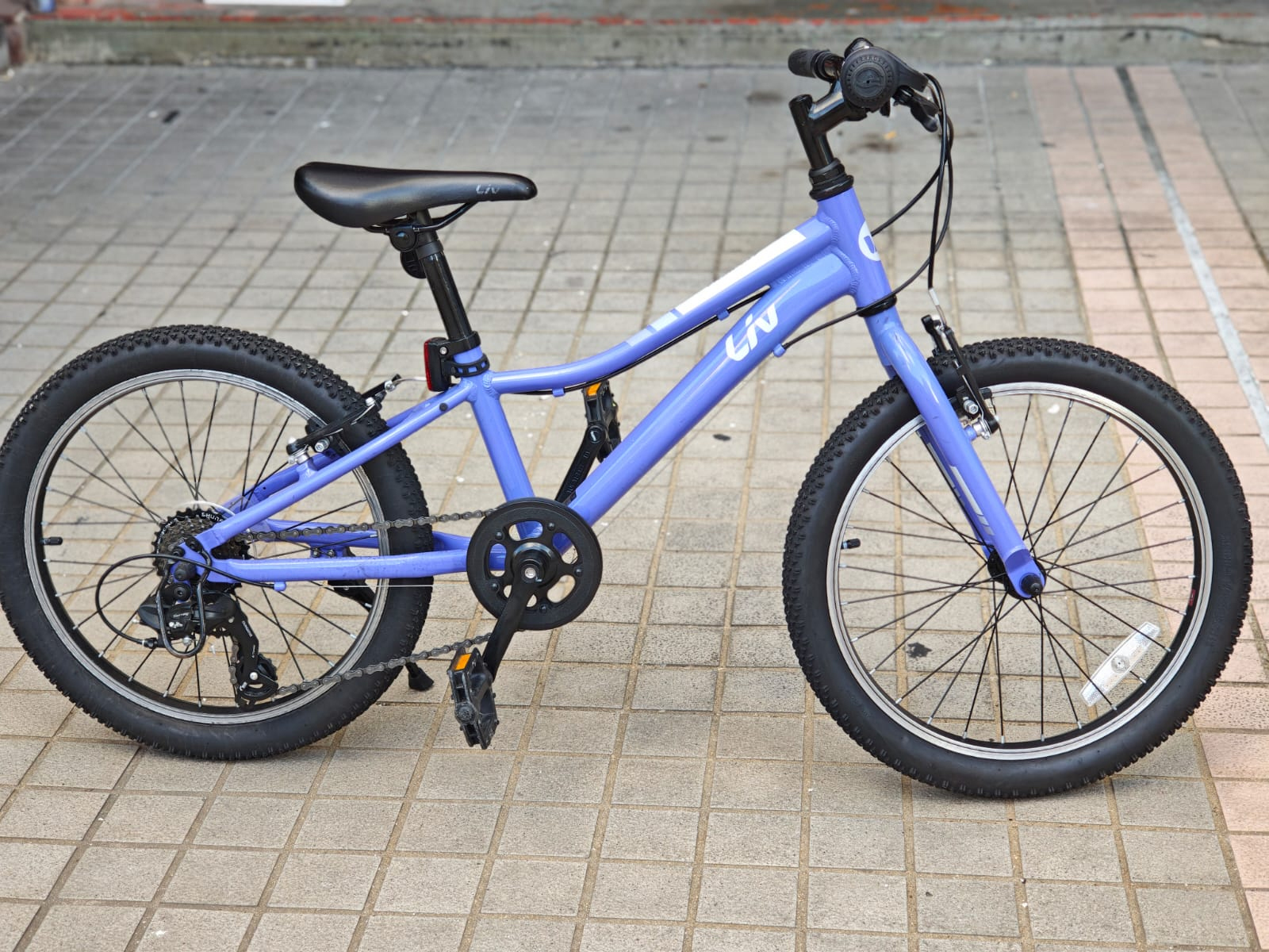 2nd hand Liv Enhant 7速 20吋童車 (不包運費)