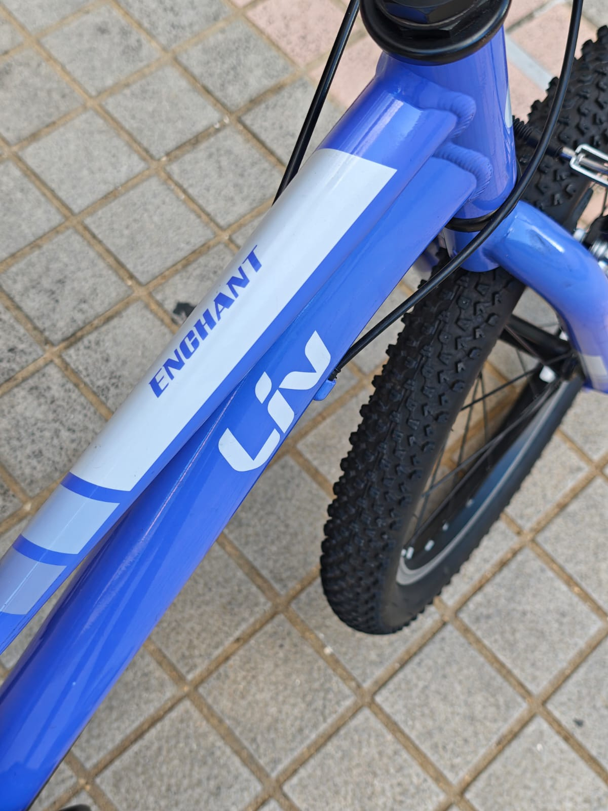 2nd hand Liv Enhant 7速 20吋童車 (不包運費)