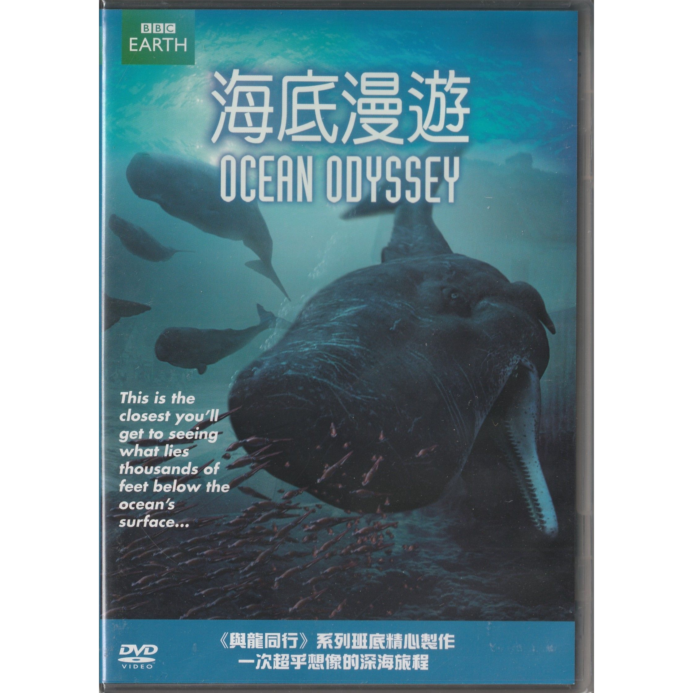 海底漫遊 (TV) (2006) (DVD) [訂貨]