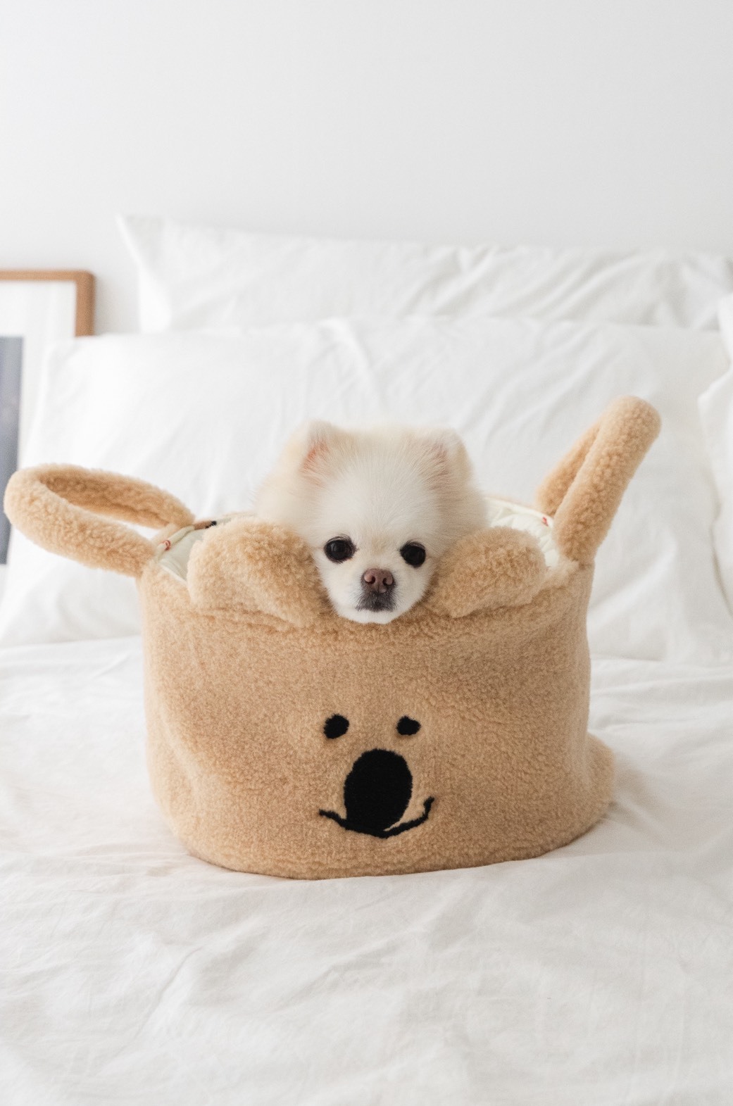 Noutti DINOTAENG Quok 玩具籃