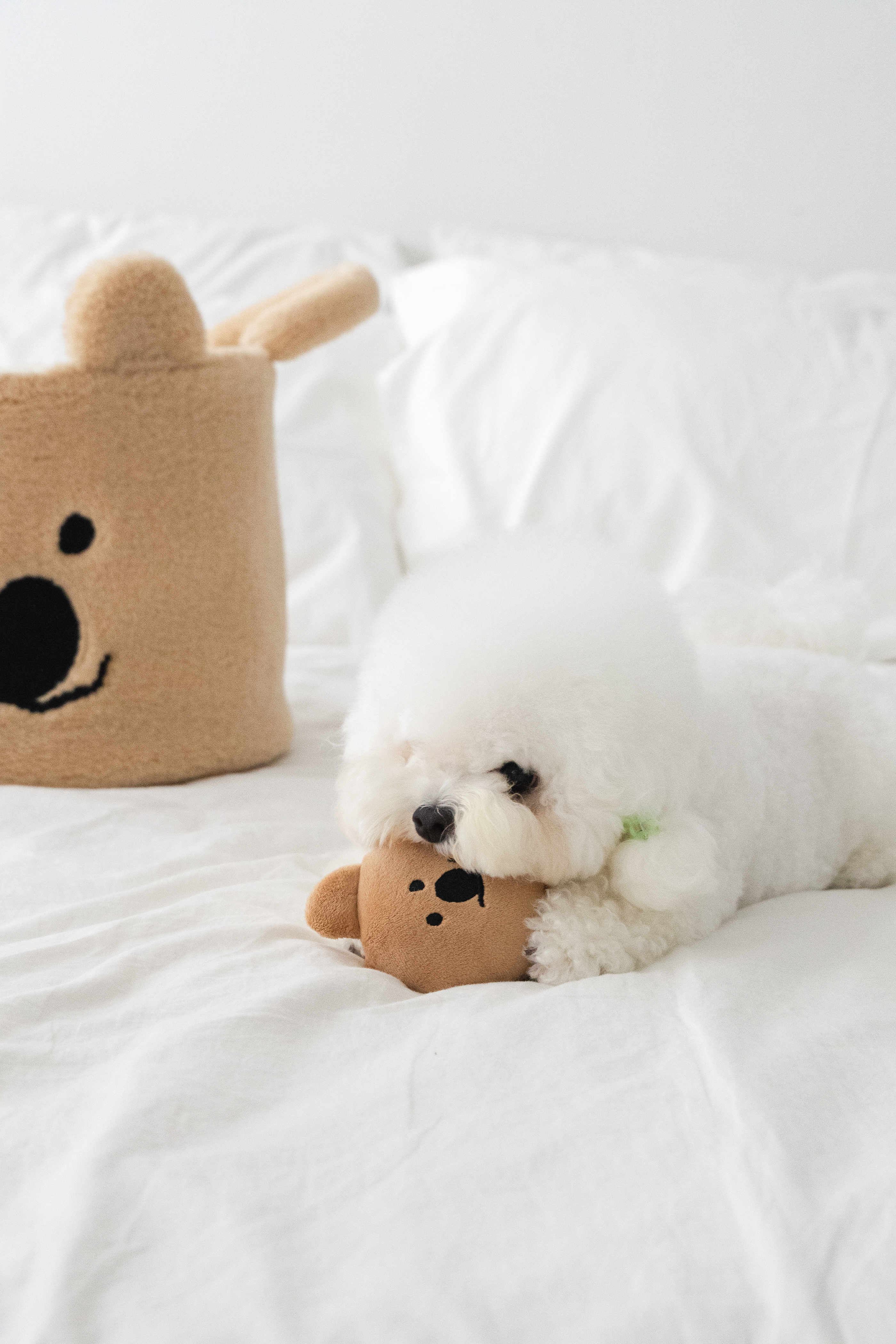 Noutti DINOTAENG Quok 玩具