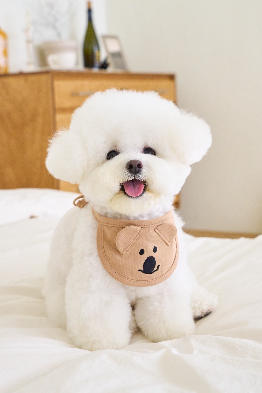 Noutti DINOTAENG Quok 圍兜兜_QUOKKA