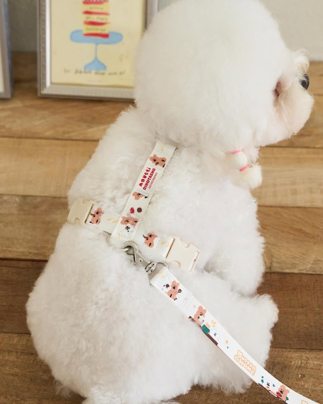 Noutti DINOTAENG H型胸背帶