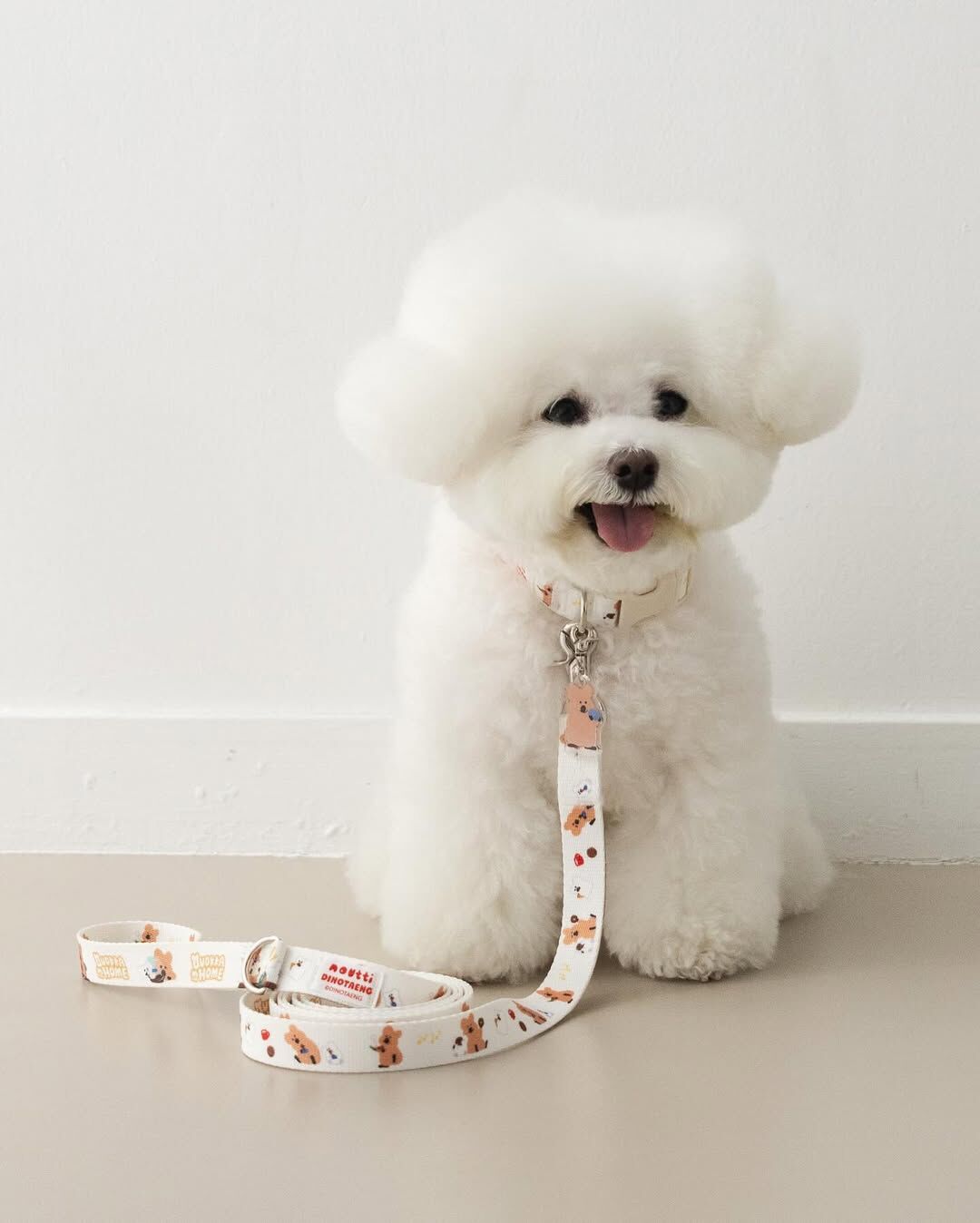 Noutti DINOTAENG 牽繩_1.8m