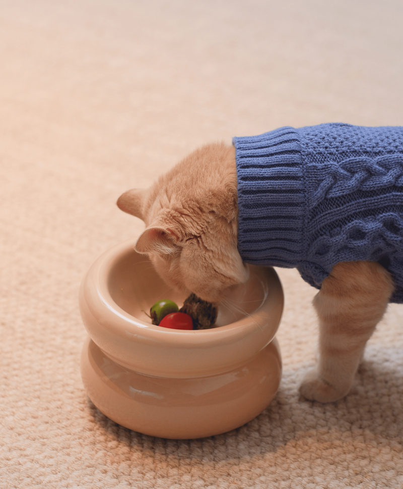 PEHOM 舒芙蕾貓狗碗 （米）