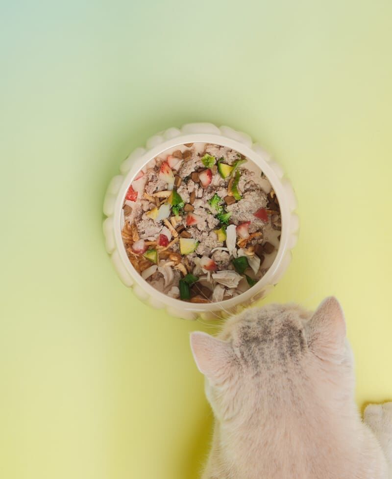 PEHOM 泡芙字母碗（綠色）