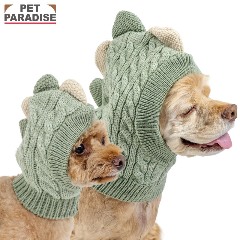 [Pet Paradise] Dino Hat <043-41135>