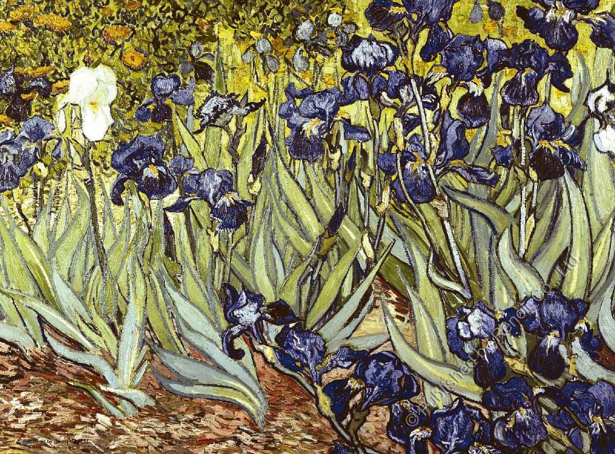 【雷諾瓦拼圖】鳶尾花/梵谷 II