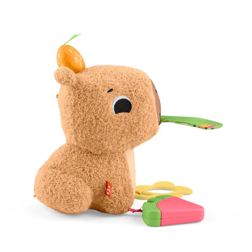 費雪 安撫小水豚