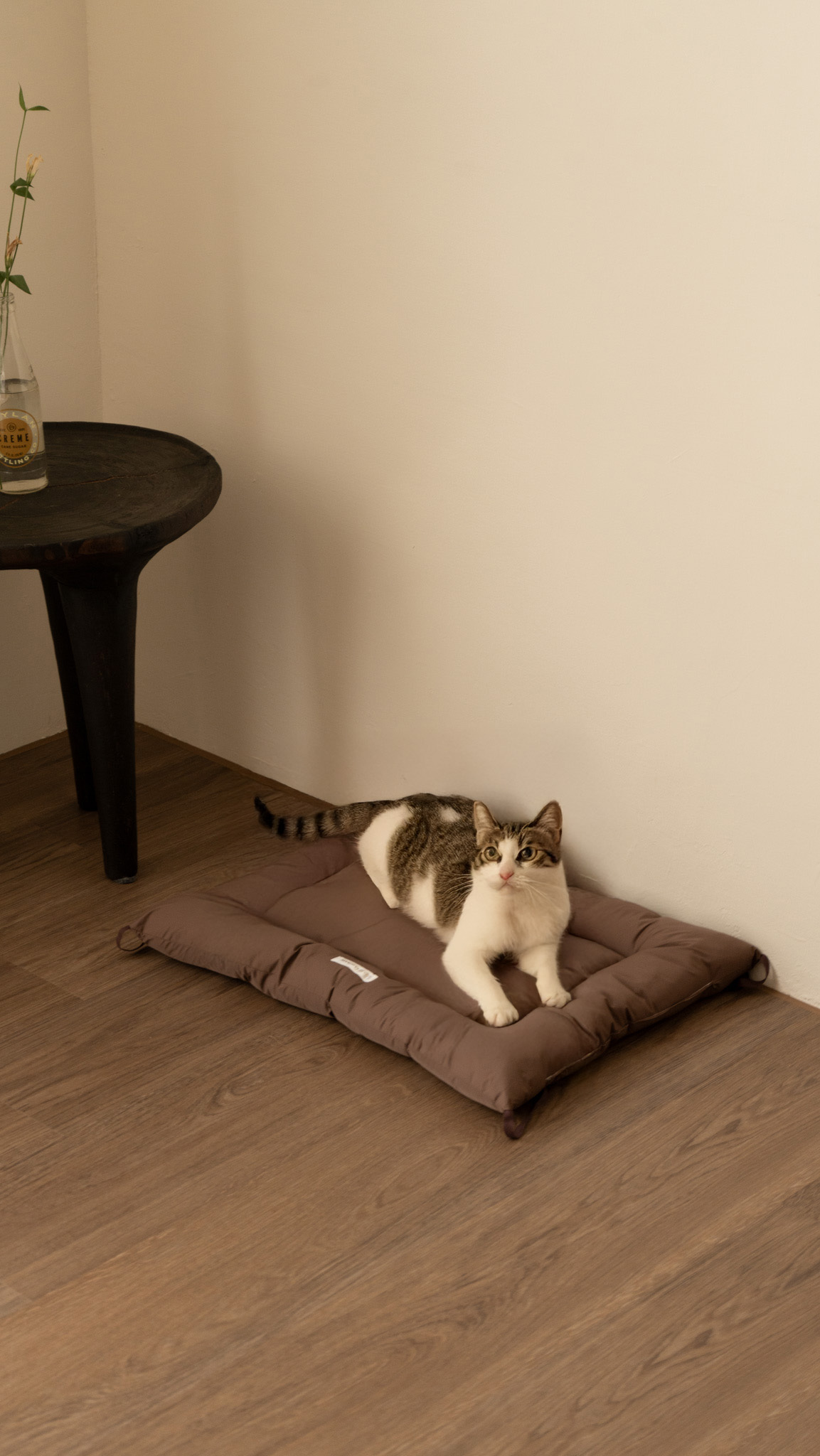 Non-STICKY 機能不黏毛寵物墊｜Pet Bed Mat