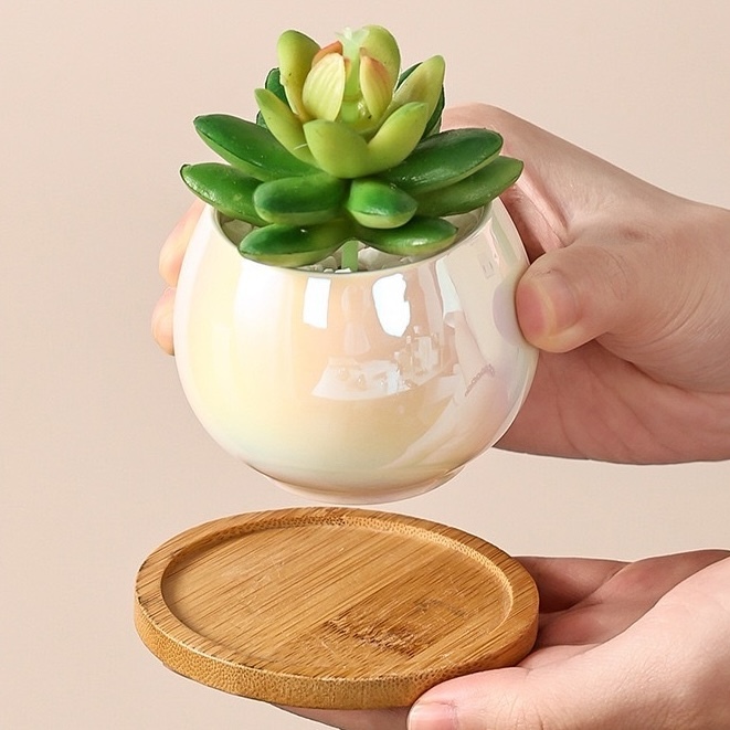 【台灣現貨速發】幻彩瓷白花器＋木底盤｜ 陶瓷 小盆 花器 幻彩花器 多肉植物花器 花盆