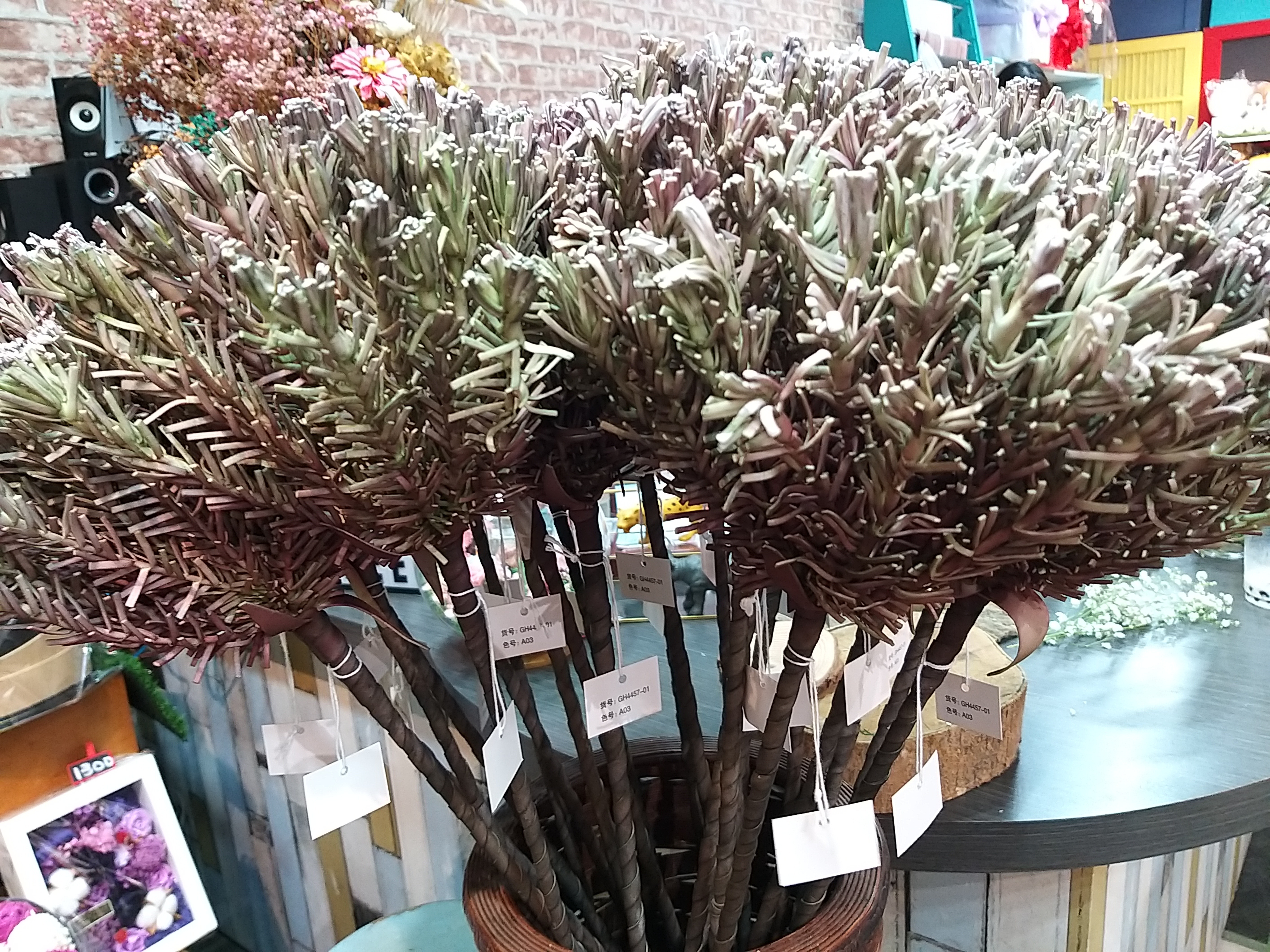 【台灣現貨速發】細葉 創意 多肉 植物 沙漠 ｜人造花 仿真 多肉