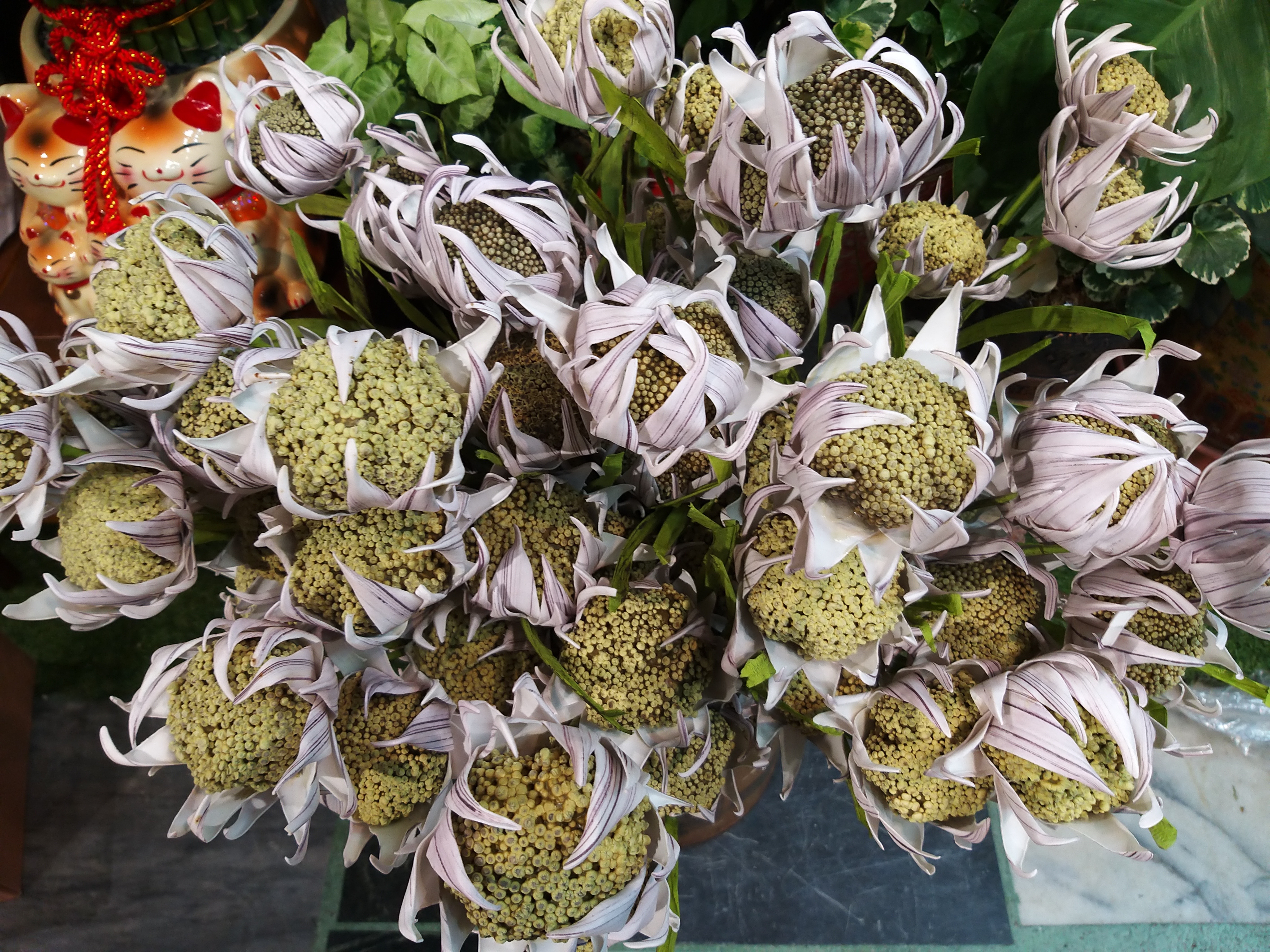 【台灣現貨速發】果子葉 創意 多肉 植物 沙漠 ｜人造花 仿真 多肉