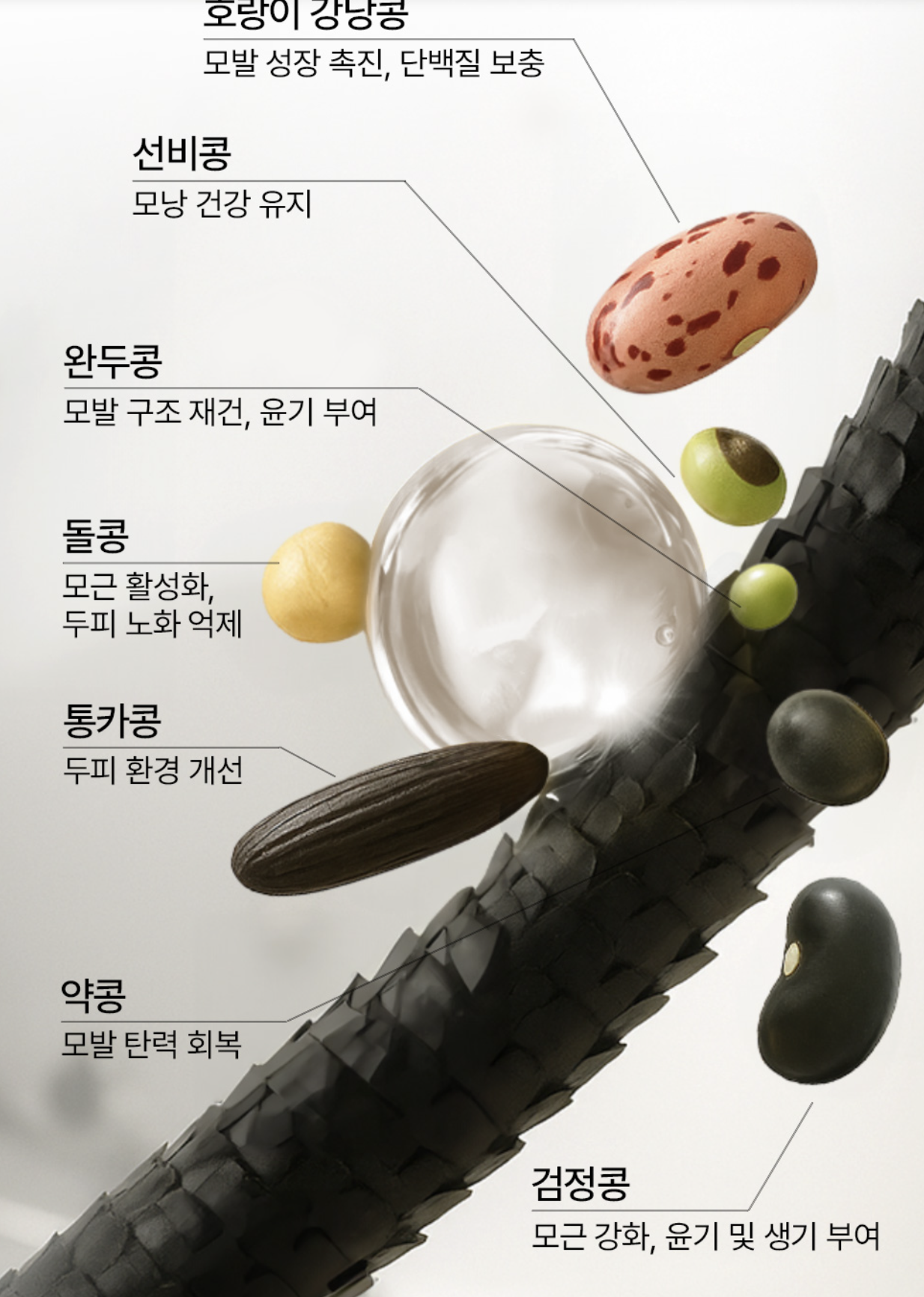 【直播】Hetras LL0922181 Bidangyeol Treatment 天然植物蛋白豆萃香氛護髮乳 1013ml