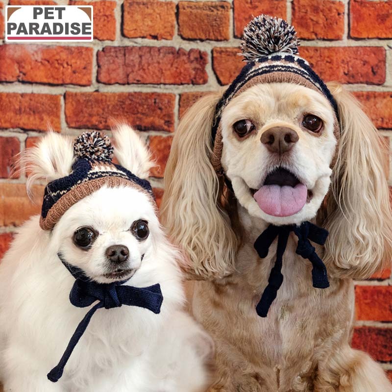 [Pet Paradise] Hat <043-41051>