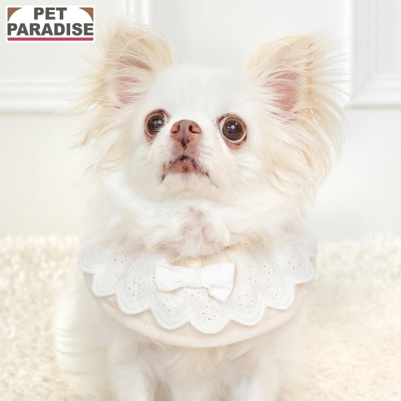 [Pet Paradise] Scarf <918-35351>