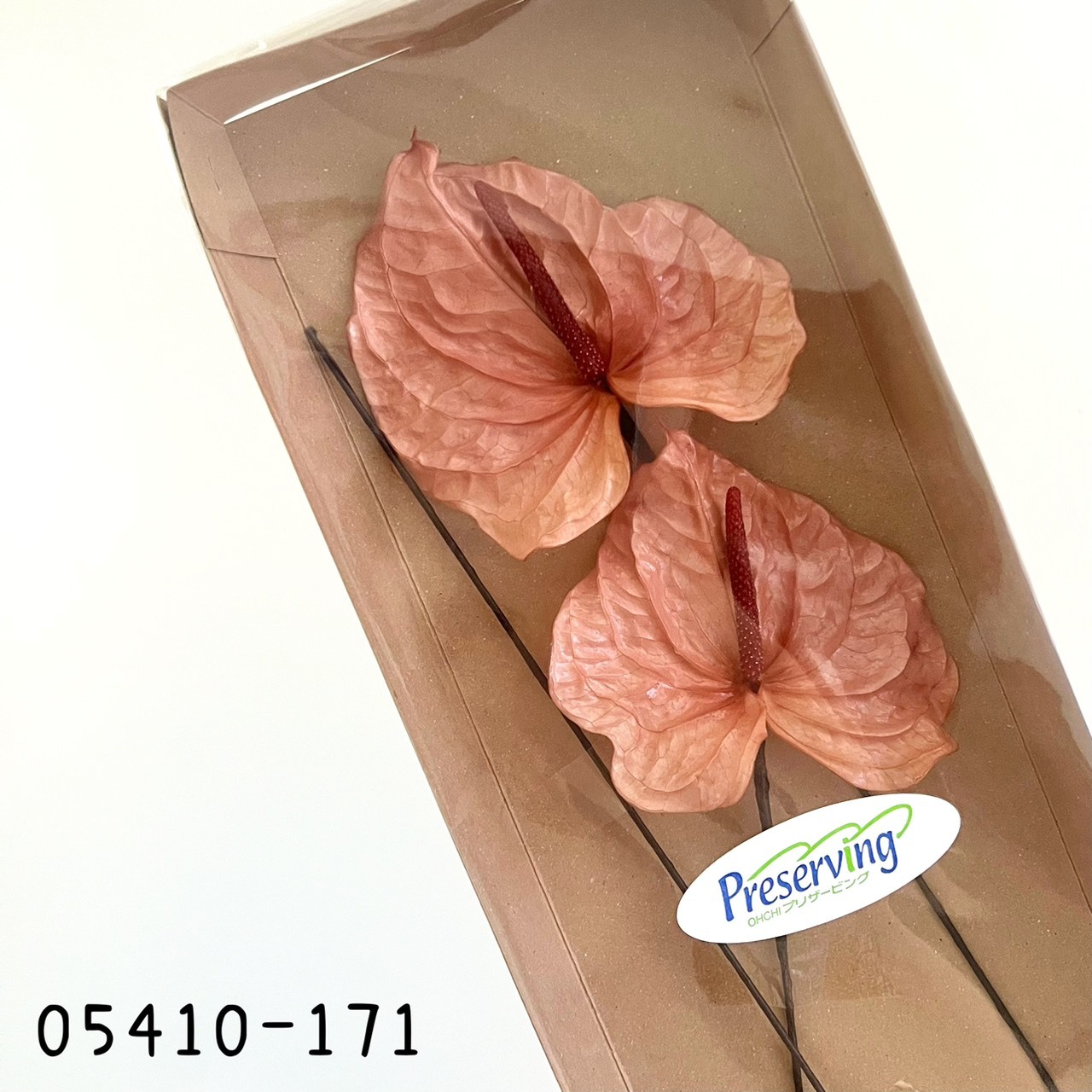 日本不凋火鶴)05410-171